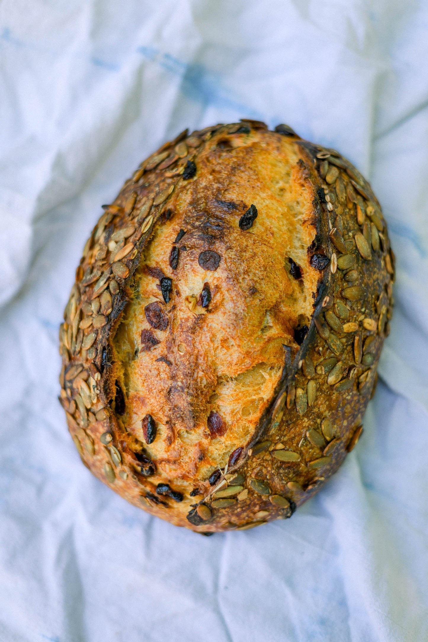 Blue Jug Pickup - Pumpkin Cranberry Loaf - Wednesday, August 27th