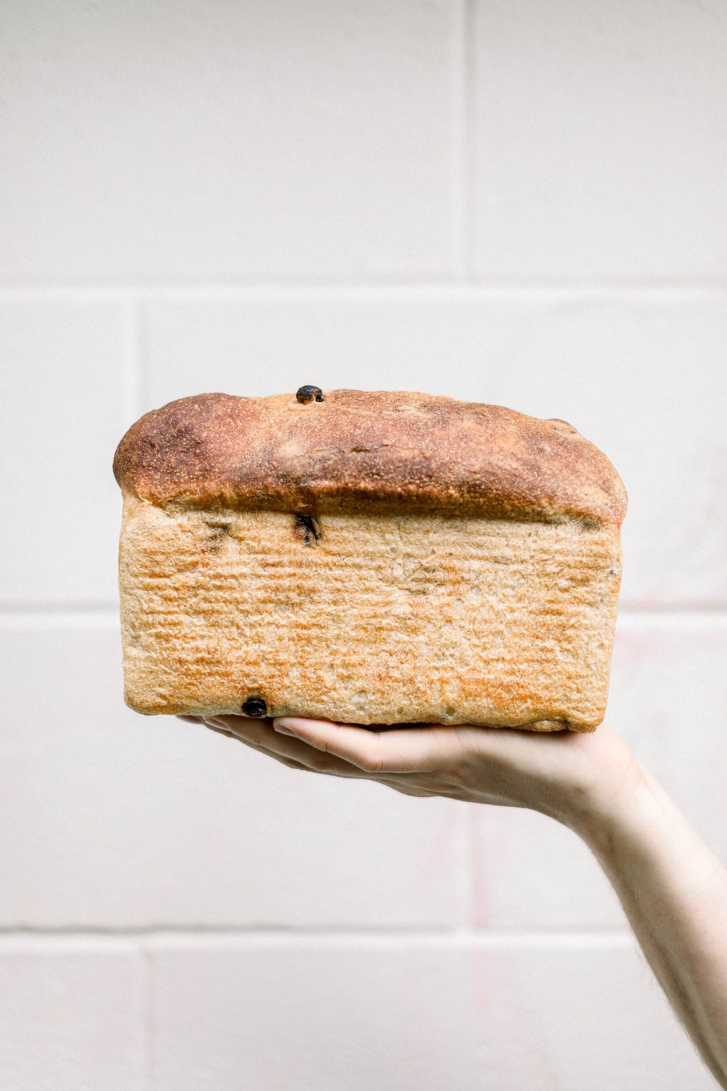 Blue Jug Pick Up - Cinnamon Raisin Tin Loaf - Wednesday, August 27th