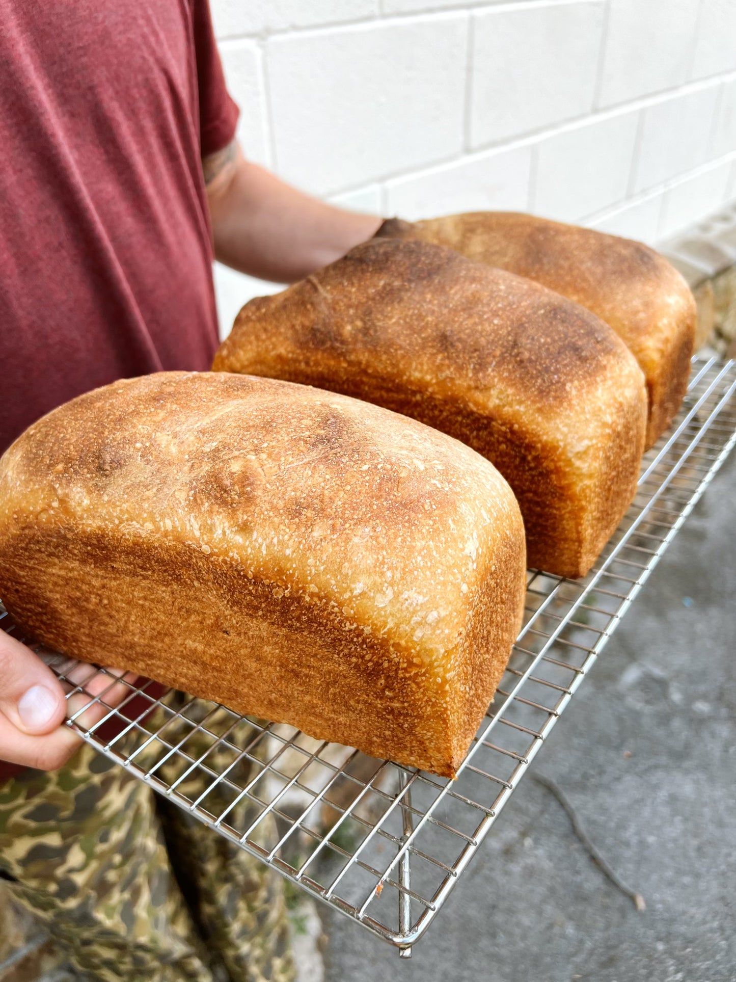 Blue Jug Pick Up - Honey Wheat Tin Loaf - Wednesday, November 26th
