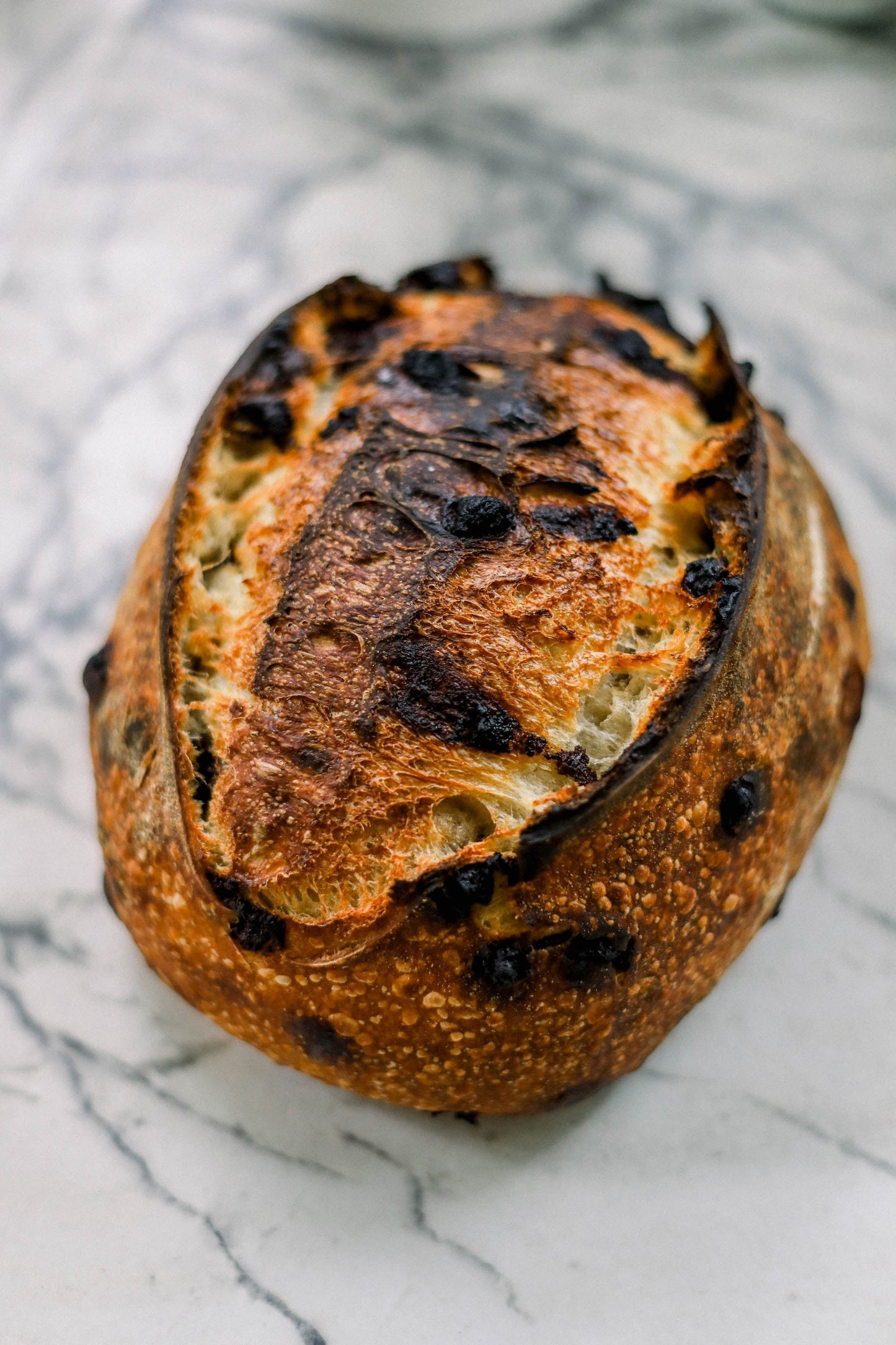 Blue Jug Pick Up - Chocolate Chip Loaf - Wednesday, February 25th